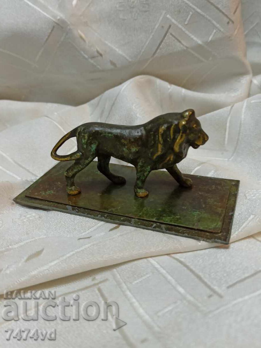 Massive small bronze sculpture of a lion with dimensions 12/6/6 cm - 7 Massive small bronze sculpture of a lion with dimensions 12/6/6 cm - 7