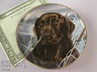 Ένα όμορφο πορσελάνινο πιάτο