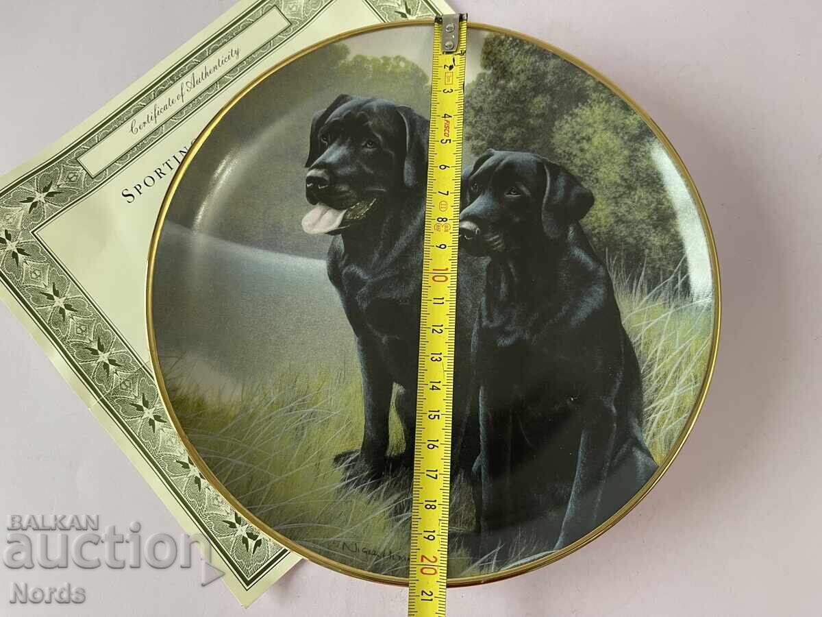 Παράδοση Ένα όμορφο πορσελάνινο πιάτο Παράδοση Ένα όμορφο πορσελάνινο πιάτο