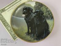 Ένα όμορφο πορσελάνινο πιάτο