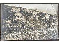 5172 Kingdom of Bulgaria, Huma village, soldier's vegetable garden