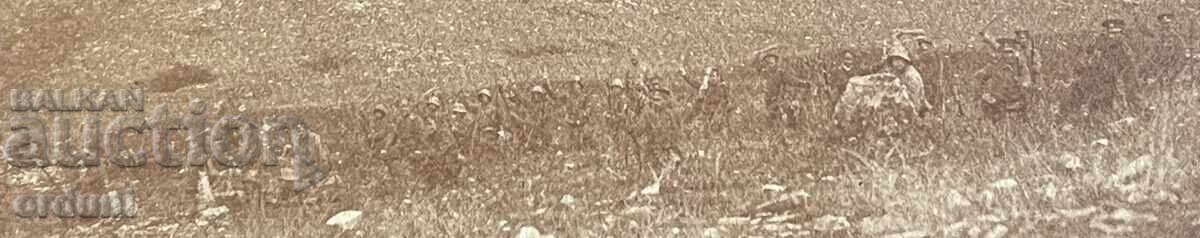 5176 Царство България телени мрежи Яребична 1916г. ПСВ с цена 20.00 лв. | € 10.23