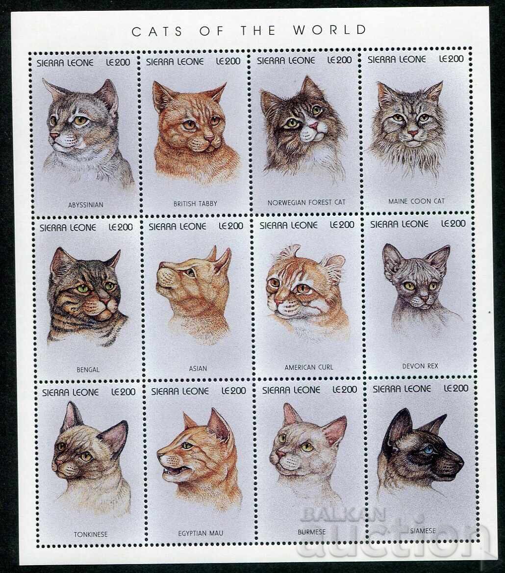 Sierra Leone 1995. MnH - Fauna, Cats Sierra Leone 1995. MnH - Fauna, Cats