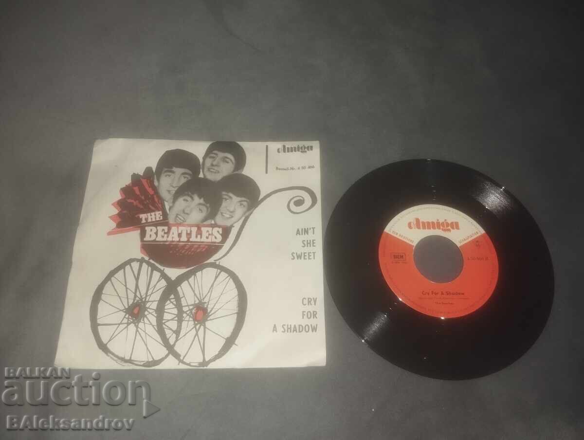 Auction  The Beatles Record