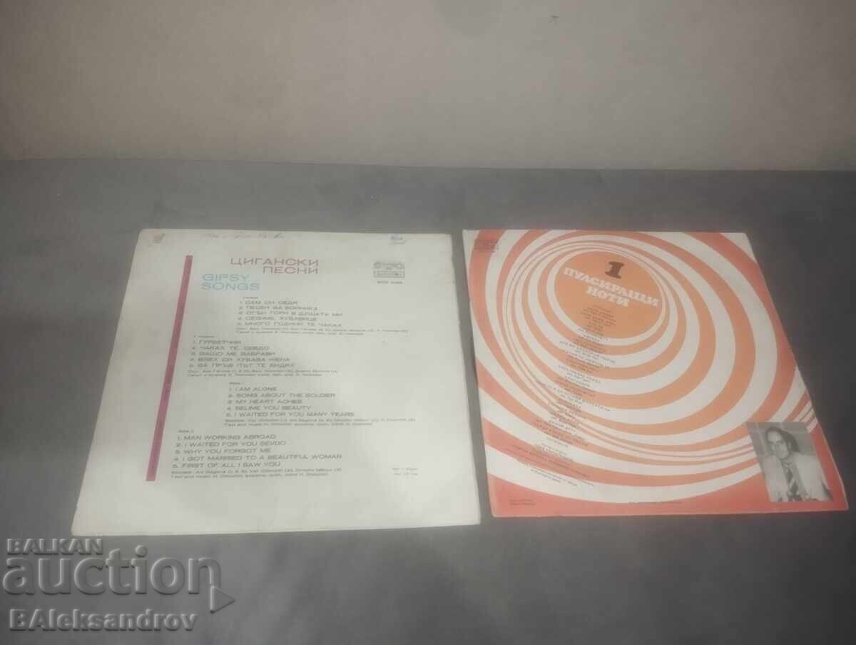 Δίσκος από δύο πλάκες με τιμή 5.00 BGN | € 2.56