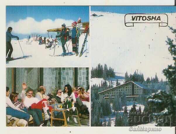 Card Bulgaria Sofia Vitosha Hotel Shtastlivetsa 3** Card Bulgaria Sofia Vitosha Hotel Shtastlivetsa 3**