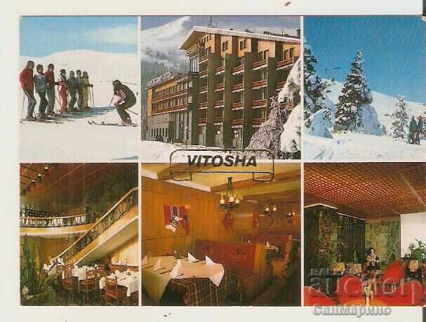 Card Bulgaria Sofia Vitosha Hotel "Prostor" 4** Card Bulgaria Sofia Vitosha Hotel "Prostor" 4**
