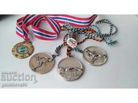 Old sports medals and badge