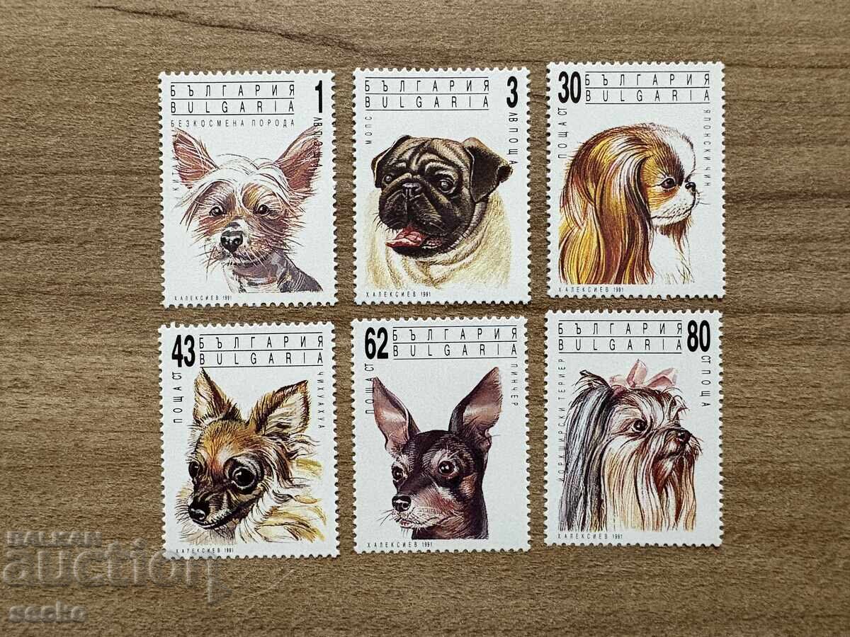 България - Салонни кучета (1991) MNH България - Салонни кучета (1991) MNH