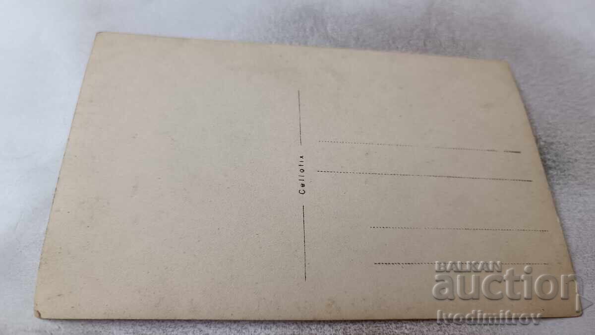 Φωτογραφία Νέων και κοριτσιών με ρετρό γραμμόφωνο σε πικνίκ με τιμή 2.65 BGN | € 1.35