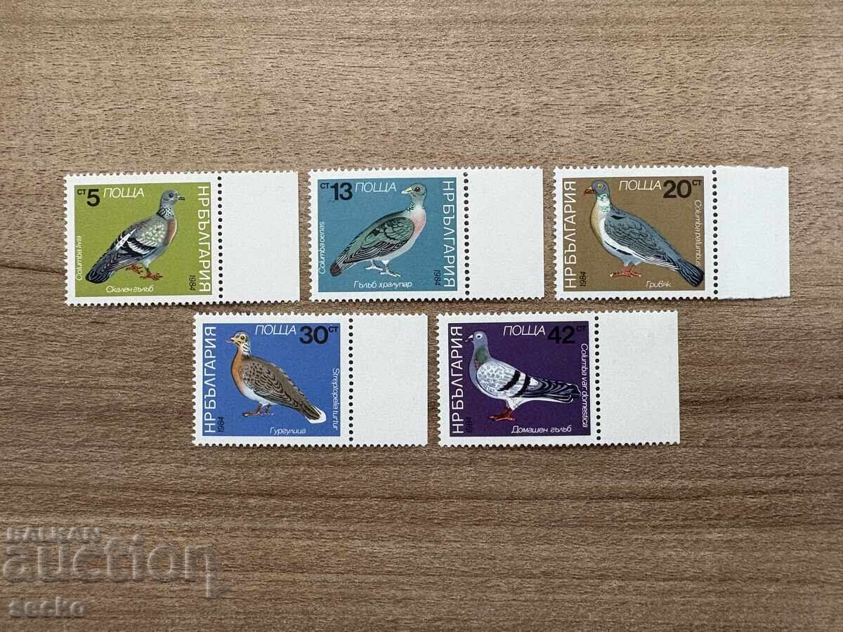 Βουλγαρία - Γλάροι (1984) MNH Βουλγαρία - Γλάροι (1984) MNH