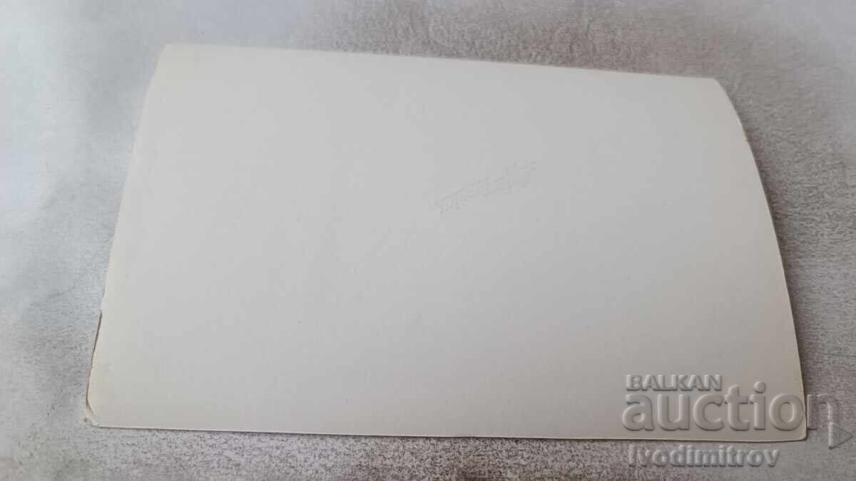 Auction  Photo Vratsa