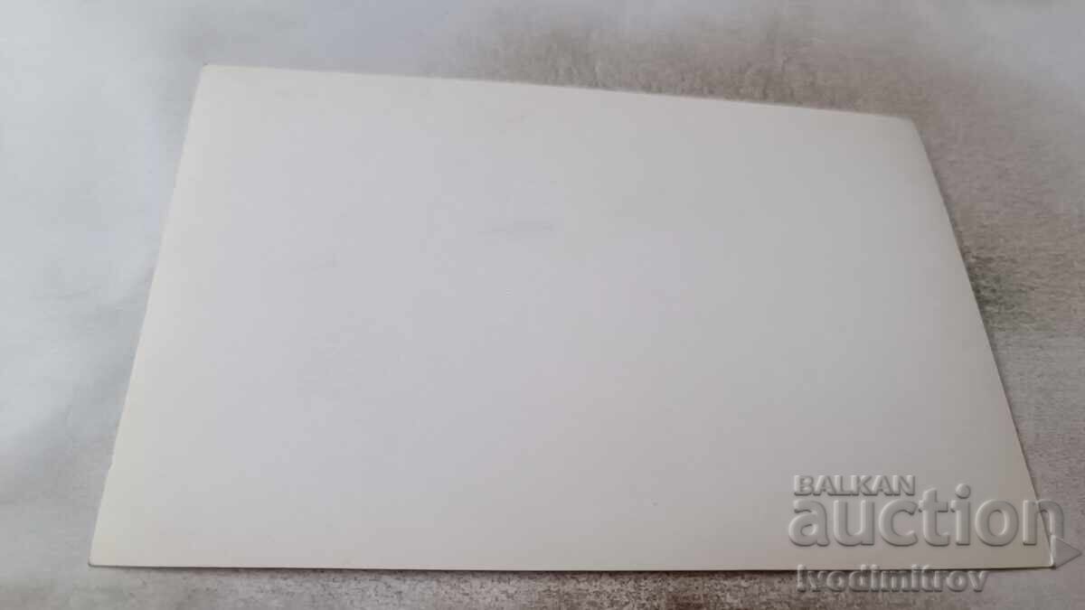 Cartolină poștală Pirin Colaj cu preț 1.85 BGN | € 0.95