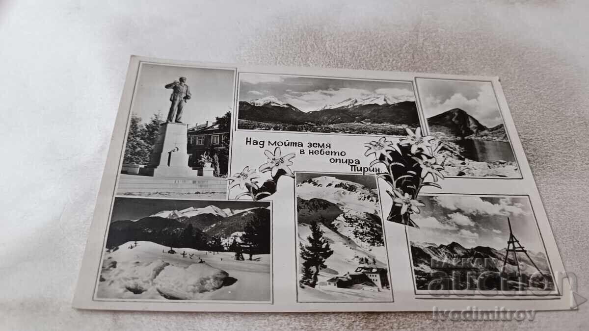 Cartolină poștală Pirin Colaj