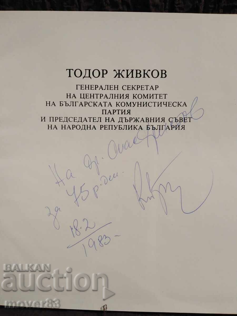 Auction  Birthplace. 1981