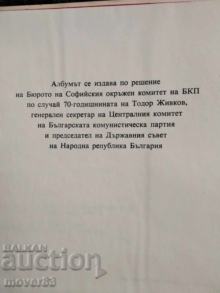 Birthplace. 1981 - 5