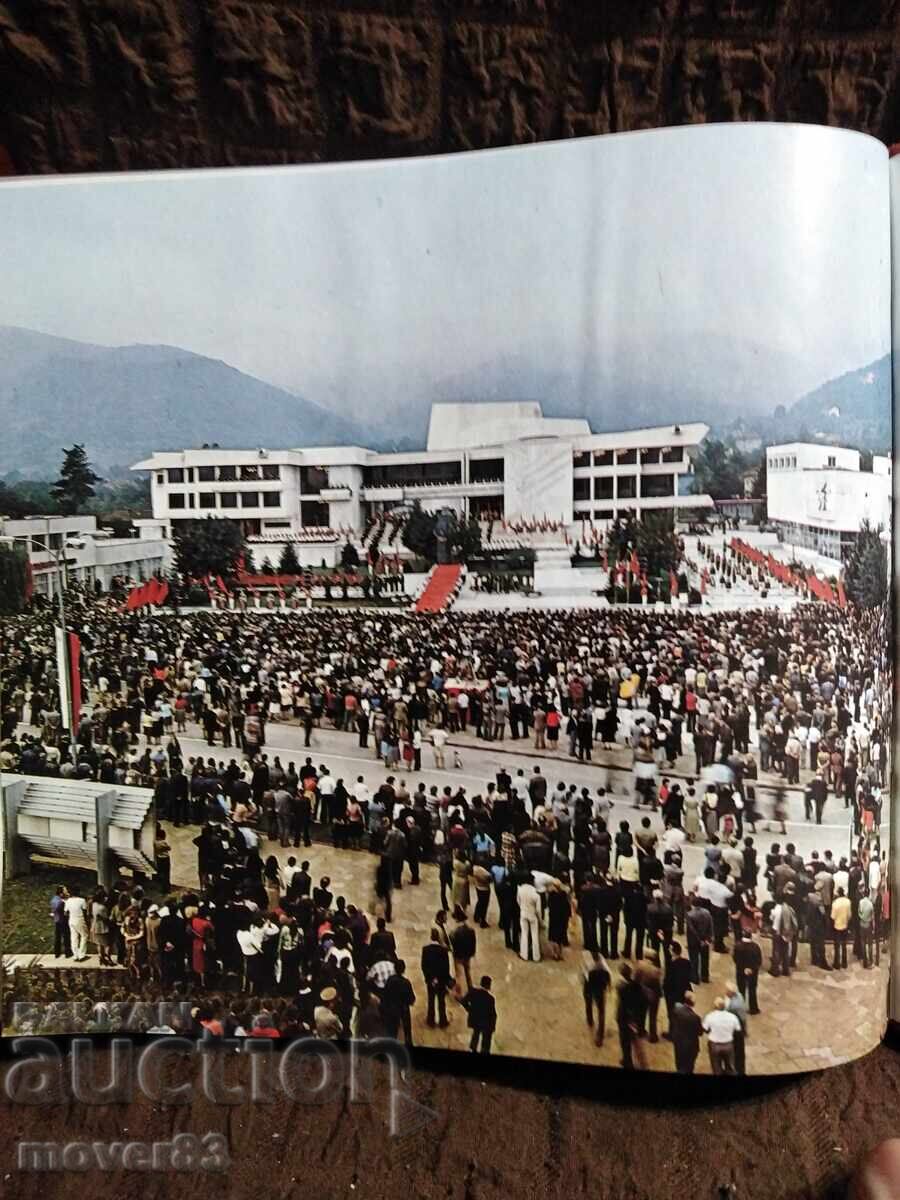 Birthplace. 1981 - 6