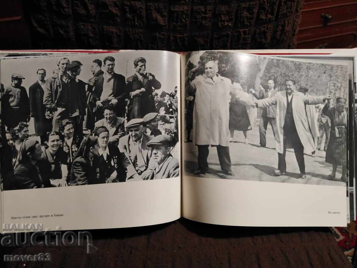 Birthplace. 1981 - 7