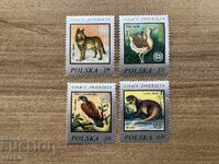 Polonia - Animale pe cale de dispariție (1977) MNH