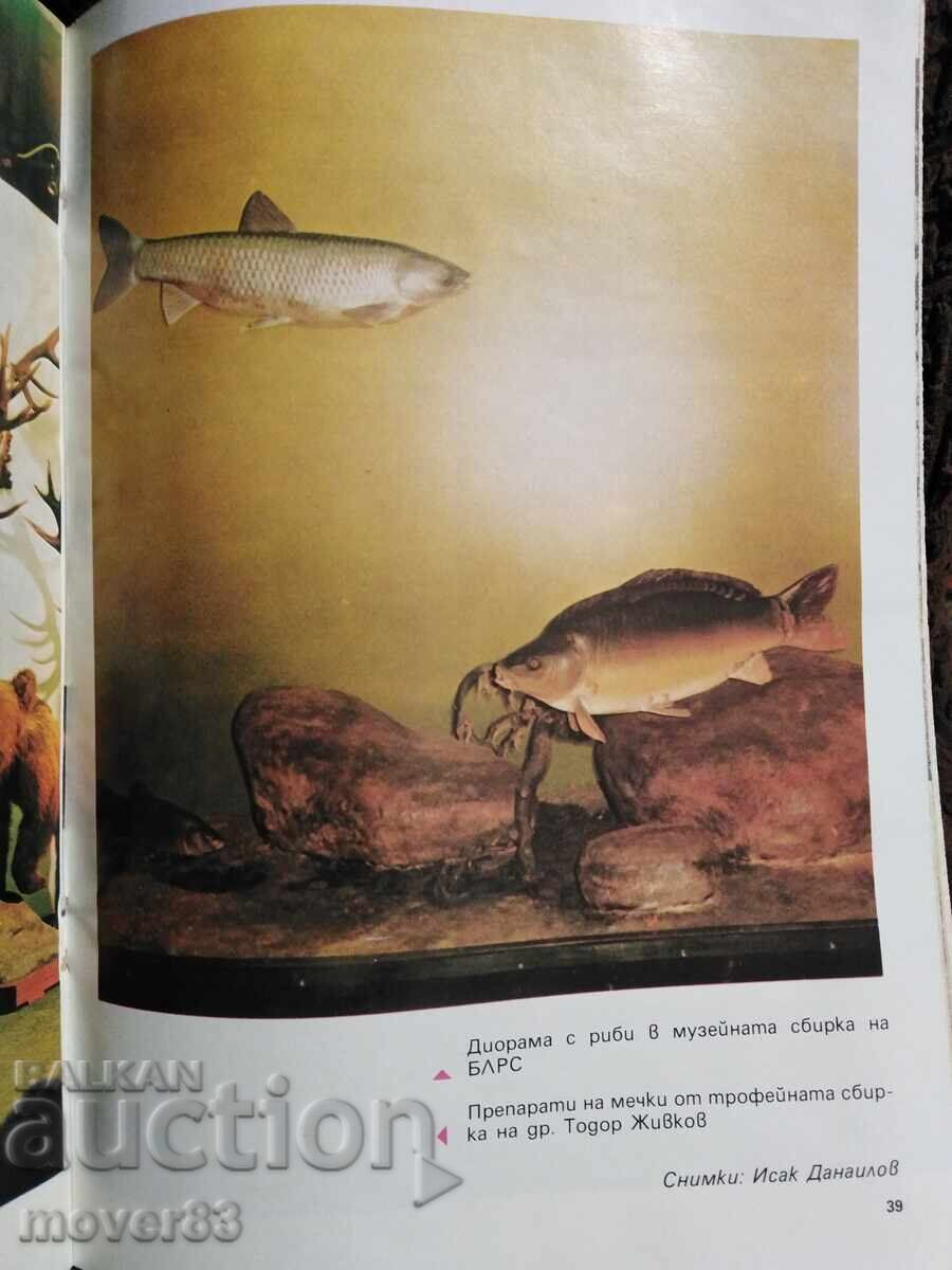 Magazine "Hunting and Fishing". No. 1 and 2/1983 - 5