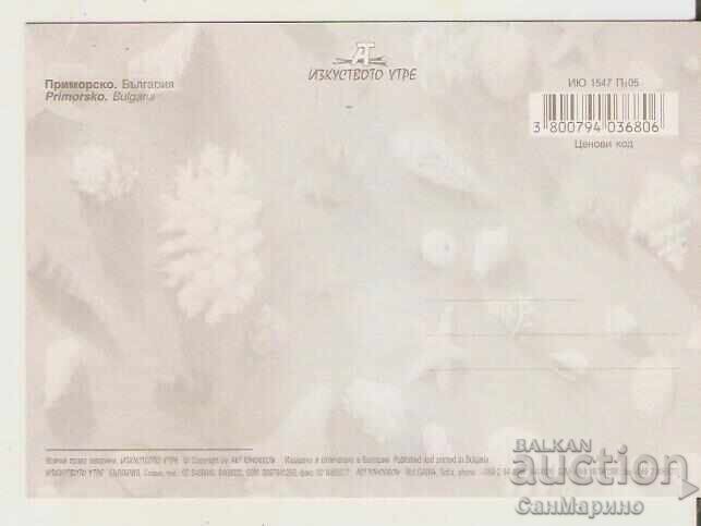 Postcard Bulgaria Primorsko 17* with price 0.80 BGN | € 0.41 Postcard Bulgaria Primorsko 17* with price 0.80 BGN | € 0.41