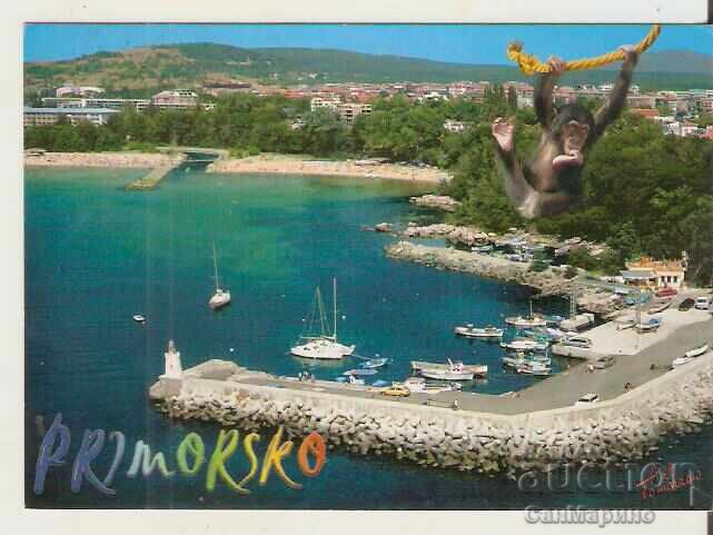 Bulgaria Postcard Primorsko View 14*