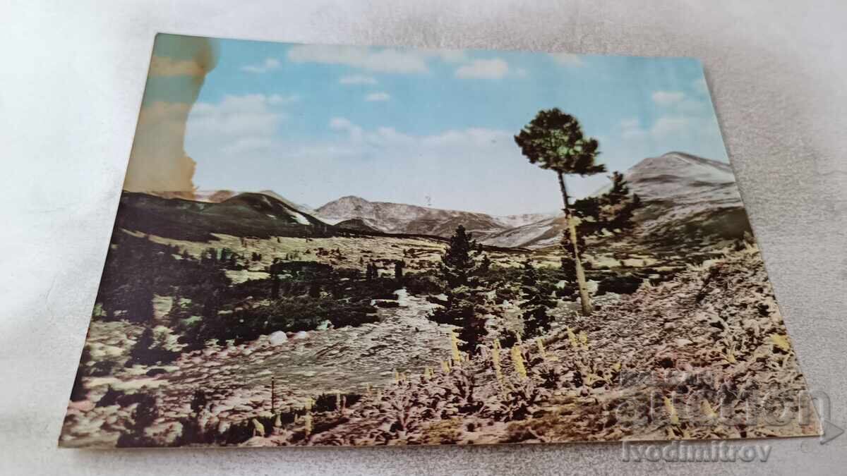 Postcard Rila Peaks Kovacs and Suha Vapa 1963