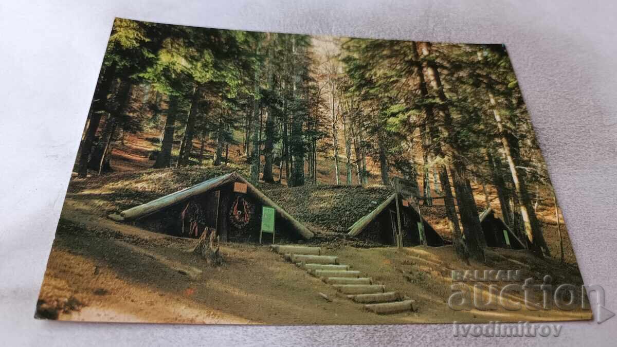 Postcard Batak Partisan Camp Teheran 1973 Postcard Batak Partisan Camp Teheran 1973