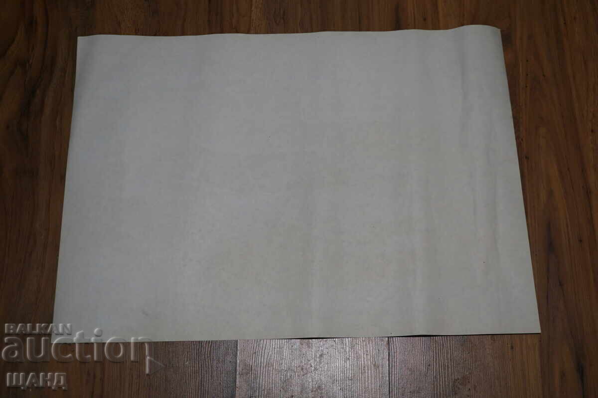 Παράδοση 1989 Ράλι Αλμπενα Χρυσή Ακτή Αφίσα AUDI QUATTRO Original