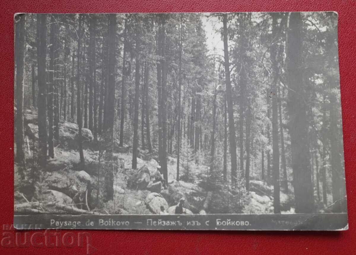 Τοπίο από Σ. Μπόικοβο Τοπίο από Σ. Μπόικοβο