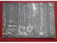 Τοπίο από Σ. Μπόικοβο