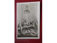 Το Τσερεσόβο Τοπτσε (BGN)