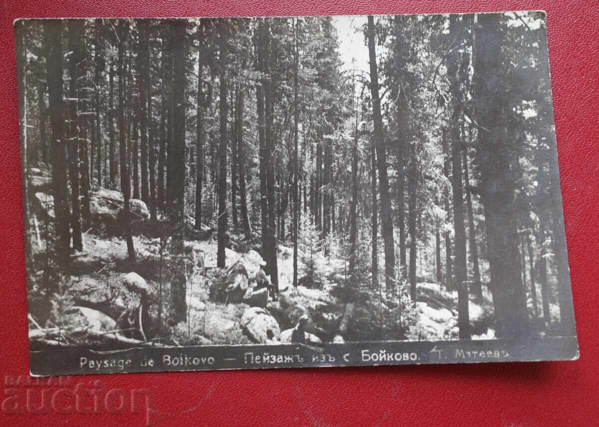 Τοπίο από Σ. Μπόικοβο - δημιουργός Τ. Ματέεφ Τοπίο από Σ. Μπόικοβο - δημιουργός Τ. Ματέεφ