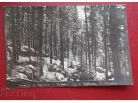 Τοπίο από Σ. Μπόικοβο - δημιουργός Τ. Ματέεφ