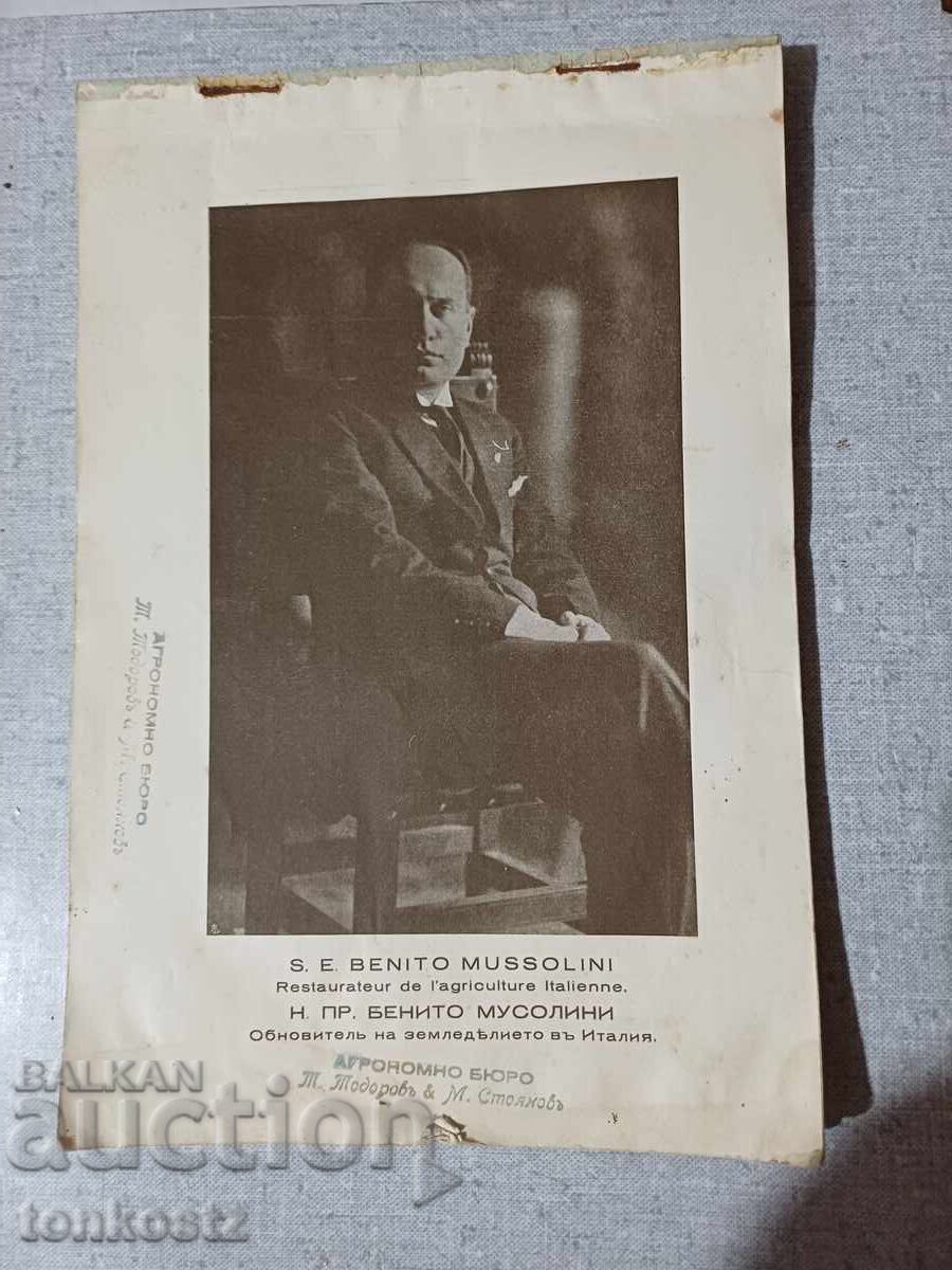 Reclamă pentru fabrică de pluguri - 5