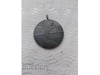 μετάλλιο, πλακέτα. ΒΖΤΣ