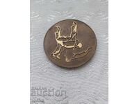 μετάλλιο, πλακέτα. ΒΖΤΣ