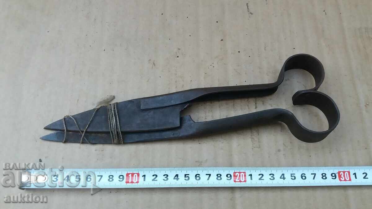 Εξαιρετικό ψαλίδι για κούρεμα προβάτων - 5 Εξαιρετικό ψαλίδι για κούρεμα προβάτων - 5