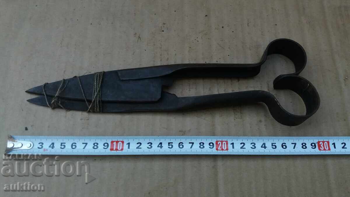 Εξαιρετικό ψαλίδι για κούρεμα προβάτων - 6 Εξαιρετικό ψαλίδι για κούρεμα προβάτων - 6