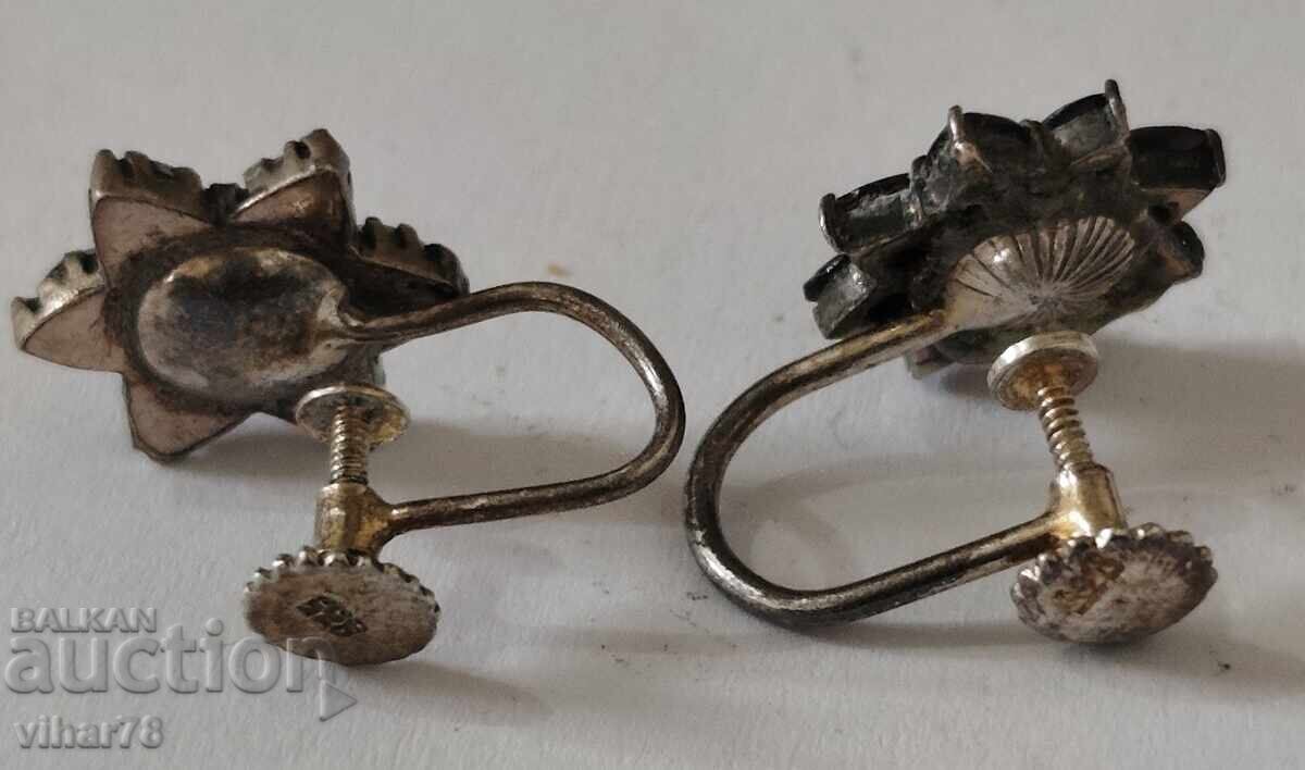 Σκουλαρίκια με ρόδια - 6