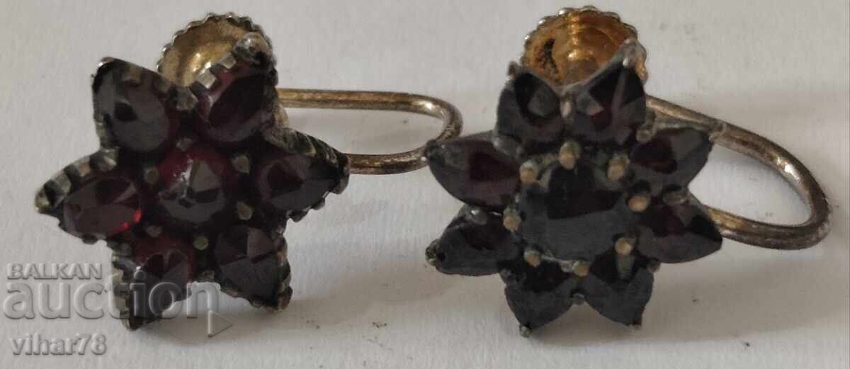 Σκουλαρίκια με ρόδια