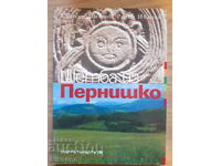 Шетба из Пернишко