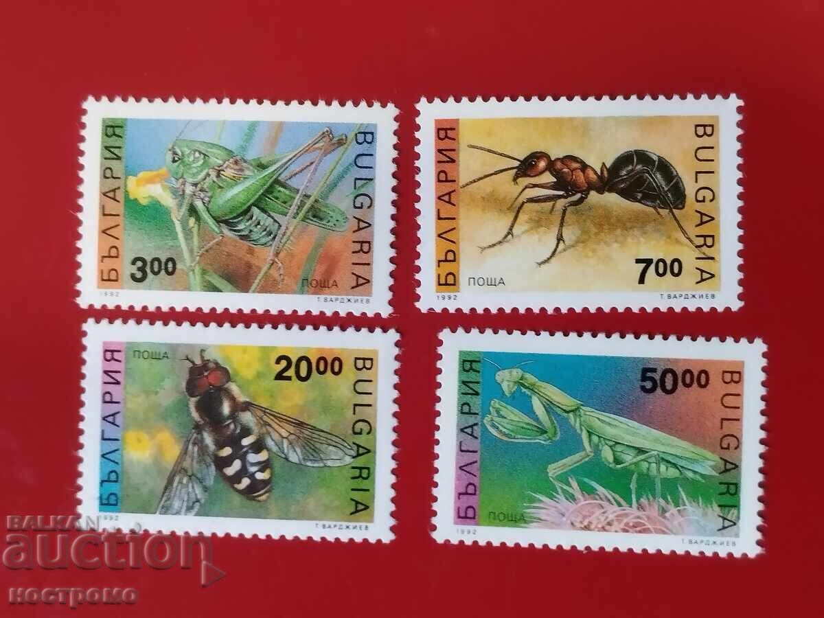 MNH Fauna - A 5966