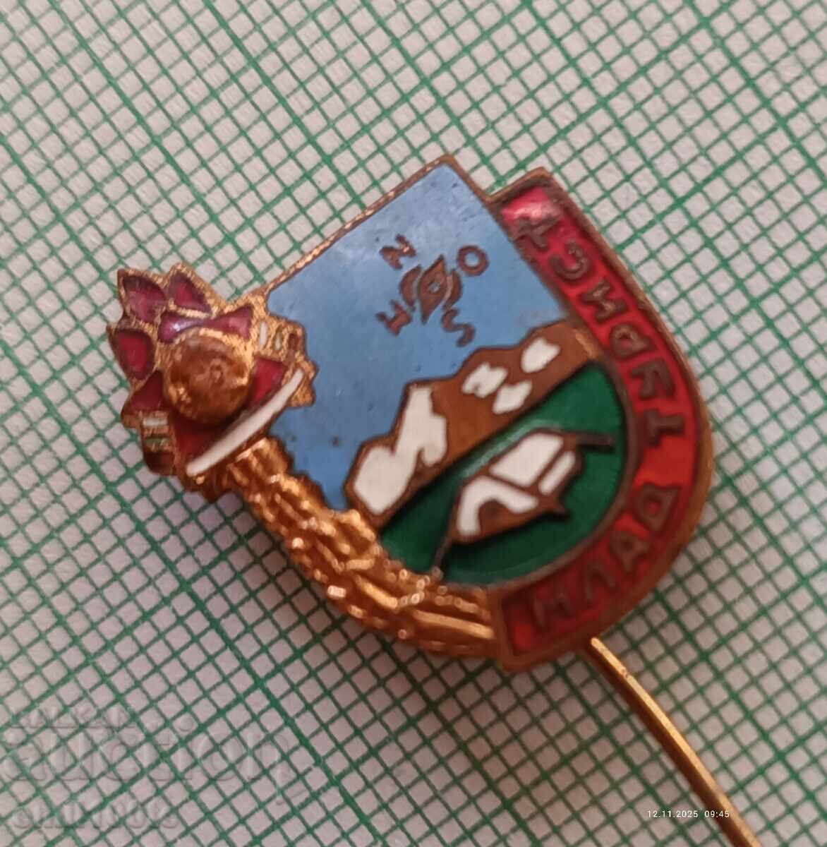 Аукцион Значка- Млад турист