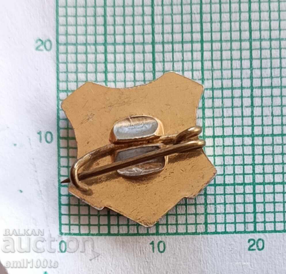 Delivery of Badge - 20 years of Vidin Vida Factory