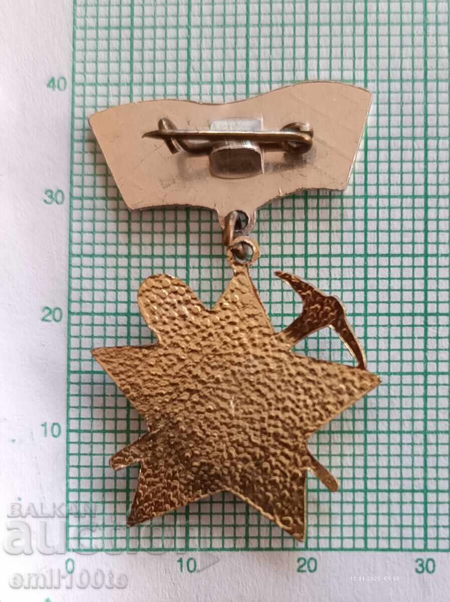 Delivery of Badge - We Stand for the Homeland, Brigade Movement Delivery of Badge - We Stand for the Homeland, Brigade Movement