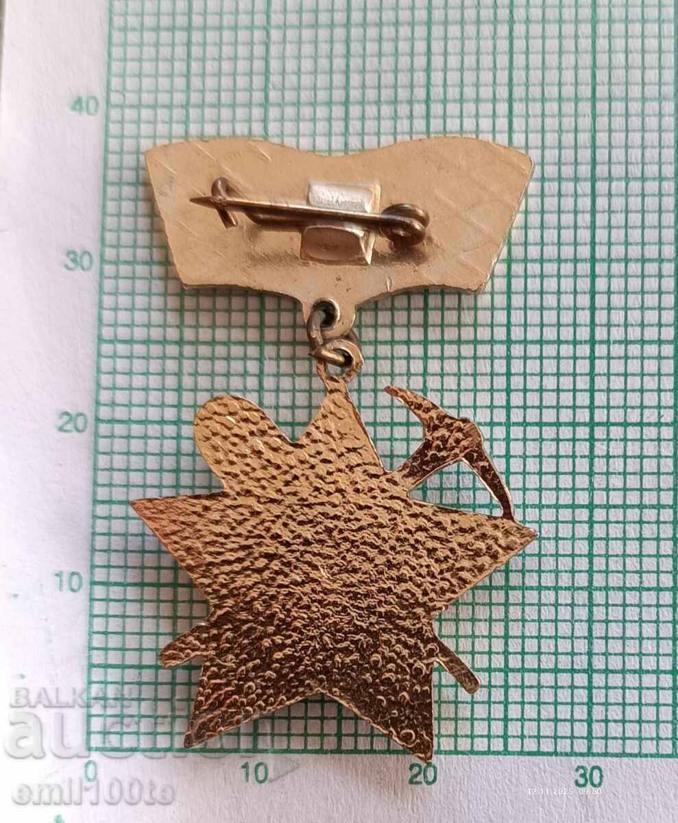 Livrarea Ecuson - Stăm pentru Patrie, mișcarea brigadierilor Livrarea Ecuson - Stăm pentru Patrie, mișcarea brigadierilor