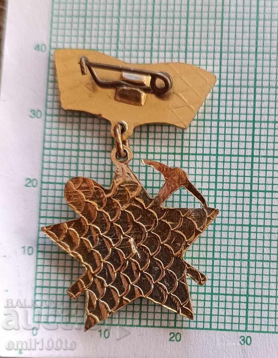 Delivery of Badge - We Stand for the Homeland, Brigade Movement