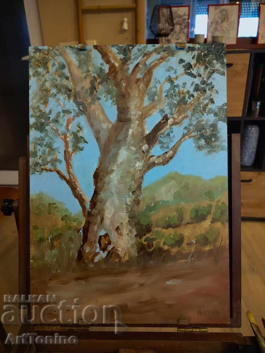 Oil painting - Forest Landscape - Tree - Eucalyptus with price 0.01 BGN | € 0.01