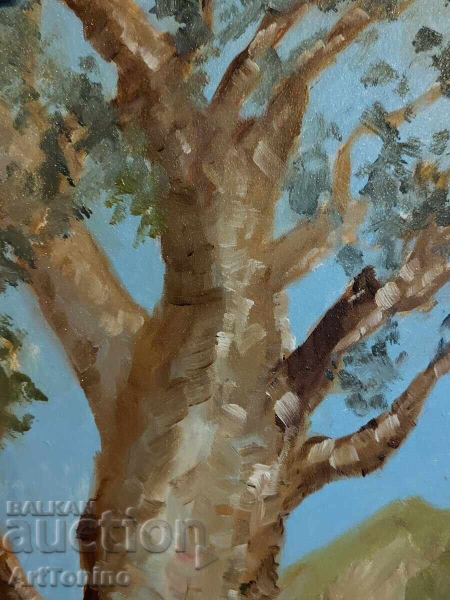 Delivery of Oil painting - Forest Landscape - Tree - Eucalyptus
